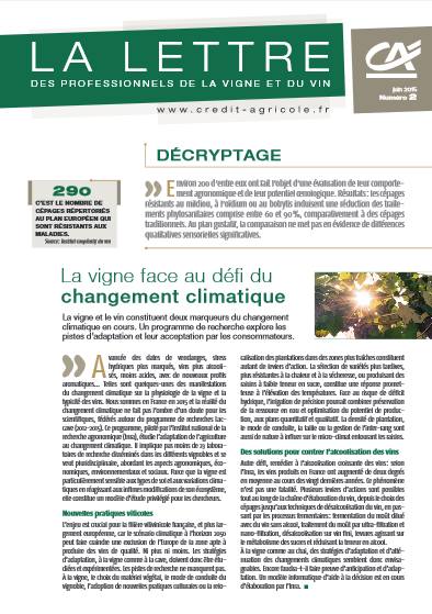 Lettre des professionnels de la vigne et du vin n°2/2015