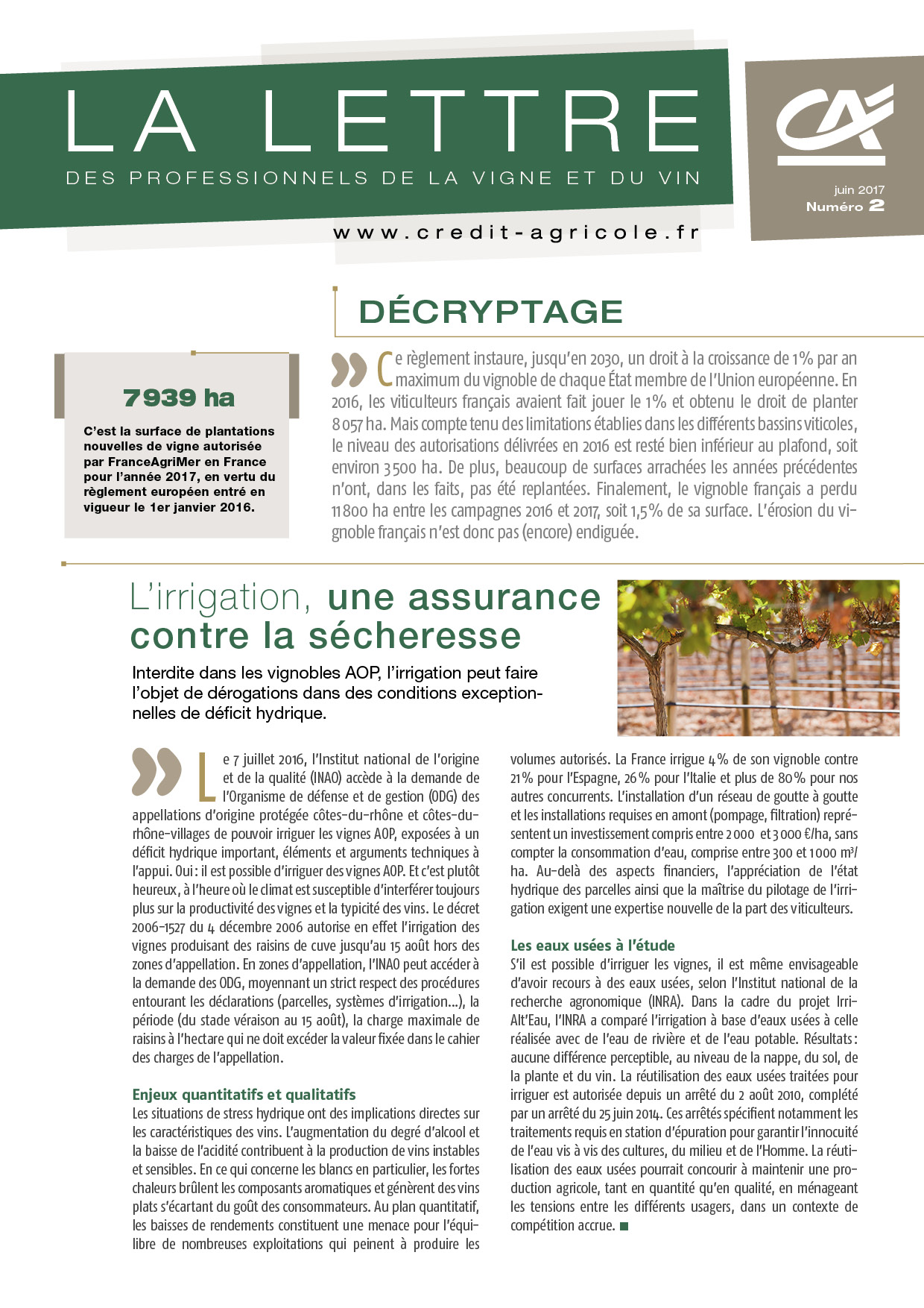 Lettre aux professionnels de la vigne et du vin - n°2/2017