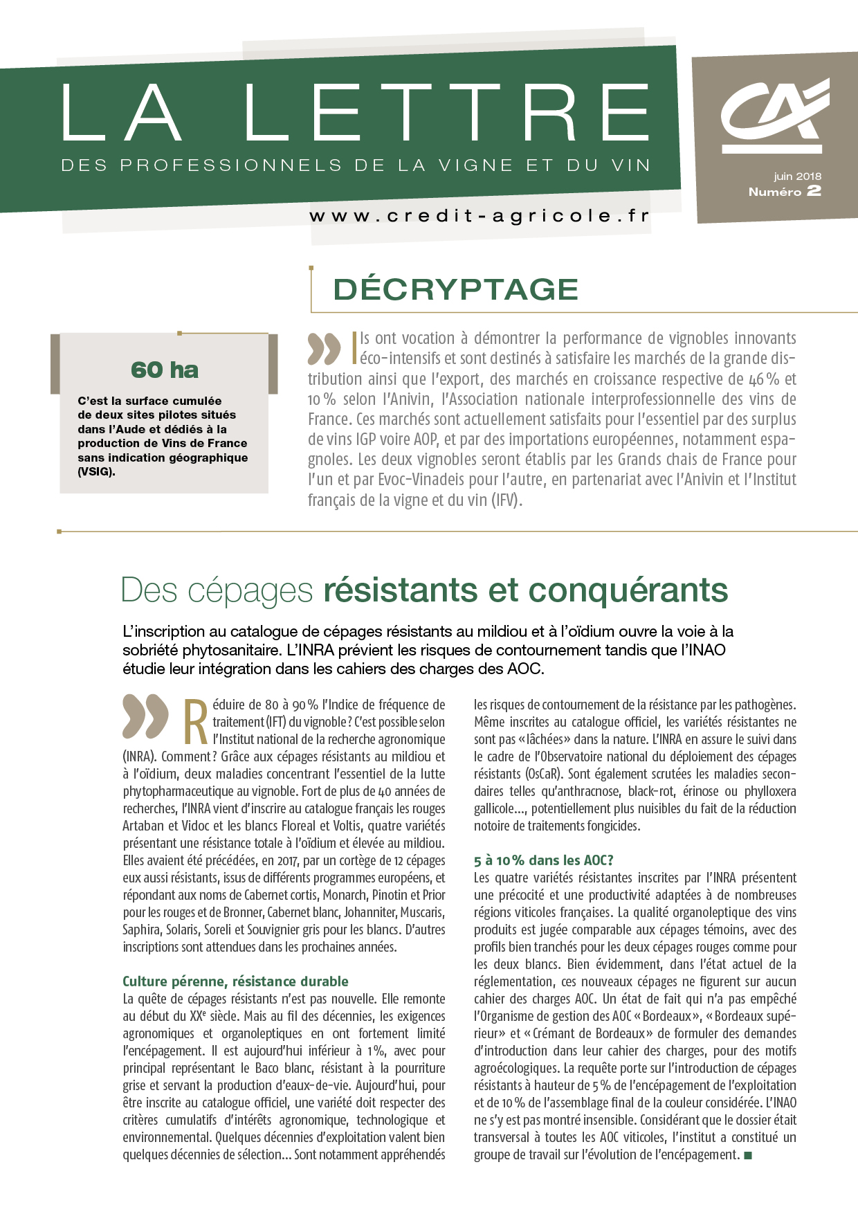 Lettre aux professionnels de la vigne et du vin n°2/2018