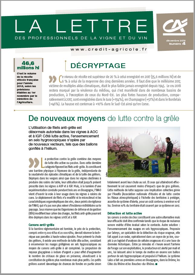 Lettre des professionnels de la vigne et du vin - n°4